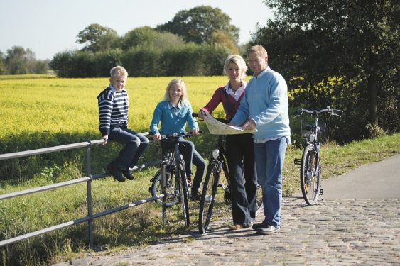 Familie bij Koolzaadveld Familie bij Koolzaadveld